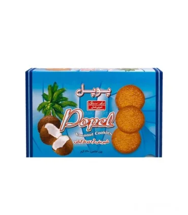 بیسکویت نارگیل شکری جعبه ای پاپل 240 گرمی شیرین عسل