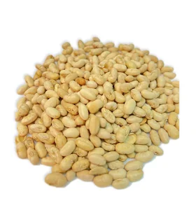 سویا آجیلی نمکی