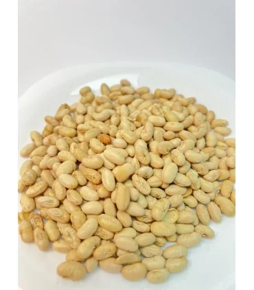 سویا آجیلی نمکی
