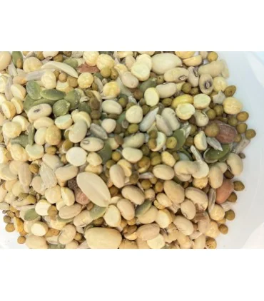 مخلوط آجیل رژیمی