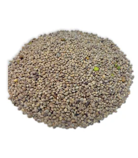 شاهدانه ریز خام