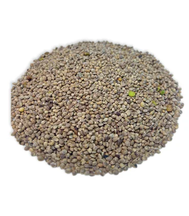 شاهدانه ریز خام