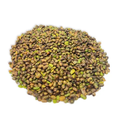 مغز پسته کوهی