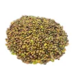 مغز پسته کوهی