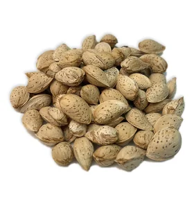 بادام پوست کاغذی خام
