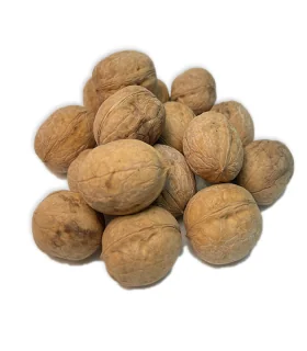 گردو با پوست خارجی