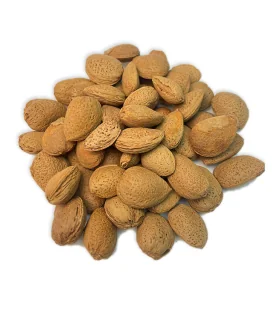 بادام درختی با پوست