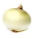 پیاز سفید
