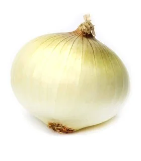 پیاز سفید