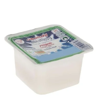 پنیر خامه ای—100گرم پگاه