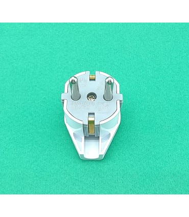 دو شاخه ارت دار دسته دار پایا