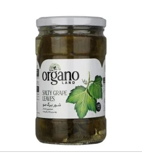 برگ مو شور ارگانو لند - 640 گرم