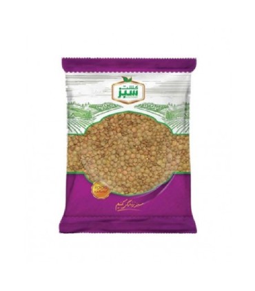 عدس دانه بزرگ کشت سبز