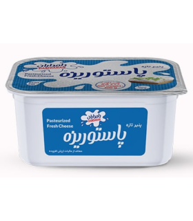 پنیر پاستوریزه دامداران 400 گرم