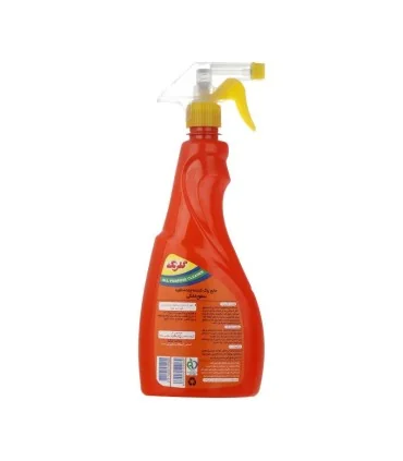 پاک کننده چندمنظوره 750گرم گلرنگ