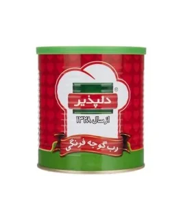 رب گوجه فرنگی دلپذیر 800 گرم