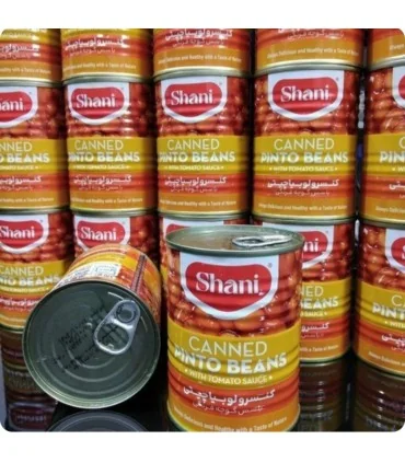 کنسرو لوبیا چیتی شانی 380 گرمی