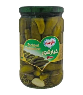 خیارشور ممتاز 680 گرم دلوسه