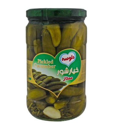 خیارشور ممتاز 680 گرم دلوسه