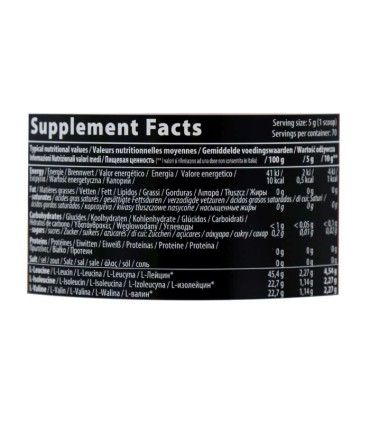 QNT پودر BCAA-8500 گرم 350