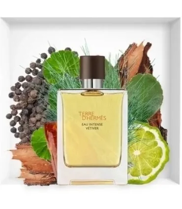 عطر ادوپرفیوم هرمس Terre d'Hermes حجم ۱۰۰ میل-2