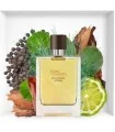 عطر ادوپرفیوم هرمس Terre d'Hermes حجم ۱۰۰ میل-2