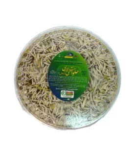 حلوا مسقطی لاری گرد بزرگ (عادلی)