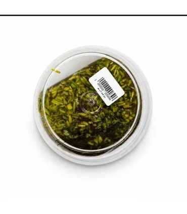 حلوا مسقطی لاری عادلی