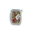 اسمارتیز بسته بندی 100 گرمی
